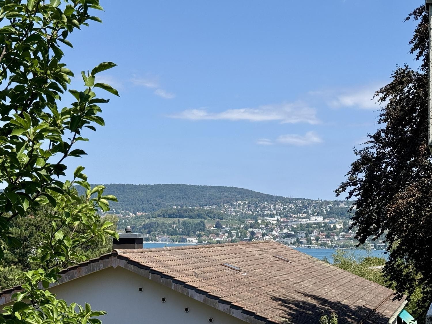 1 ½ Zimmer Wohnung