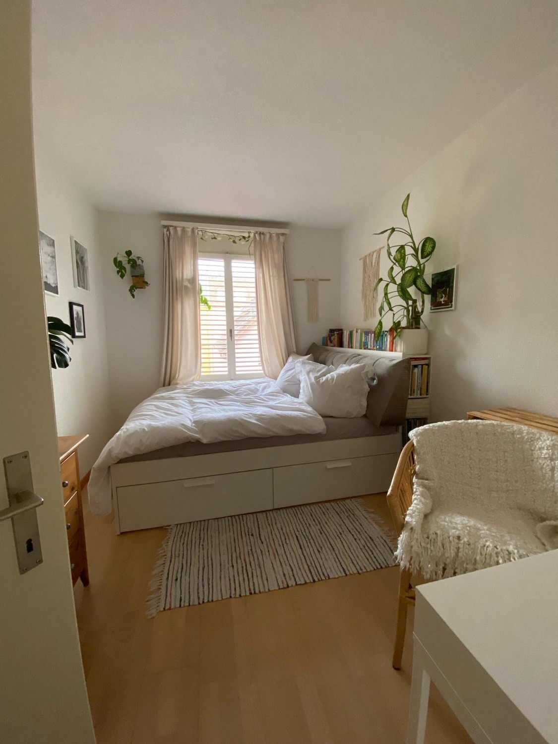 Room in a shared flat