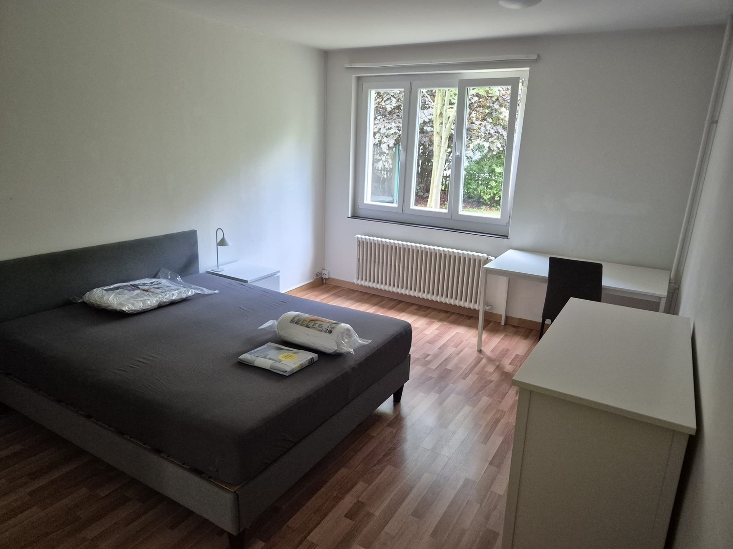 Room in a shared flat