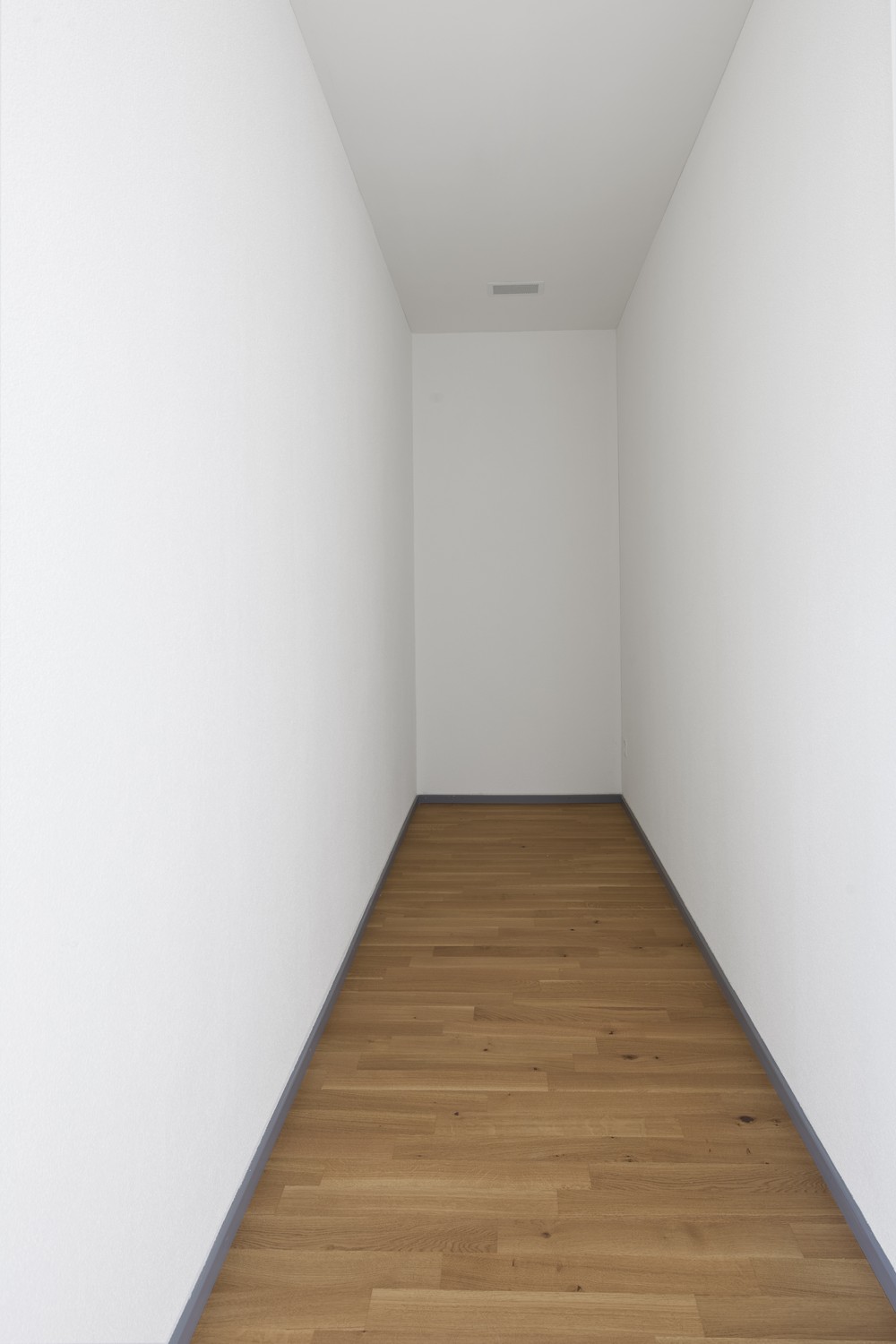 1 ½ pièces loft