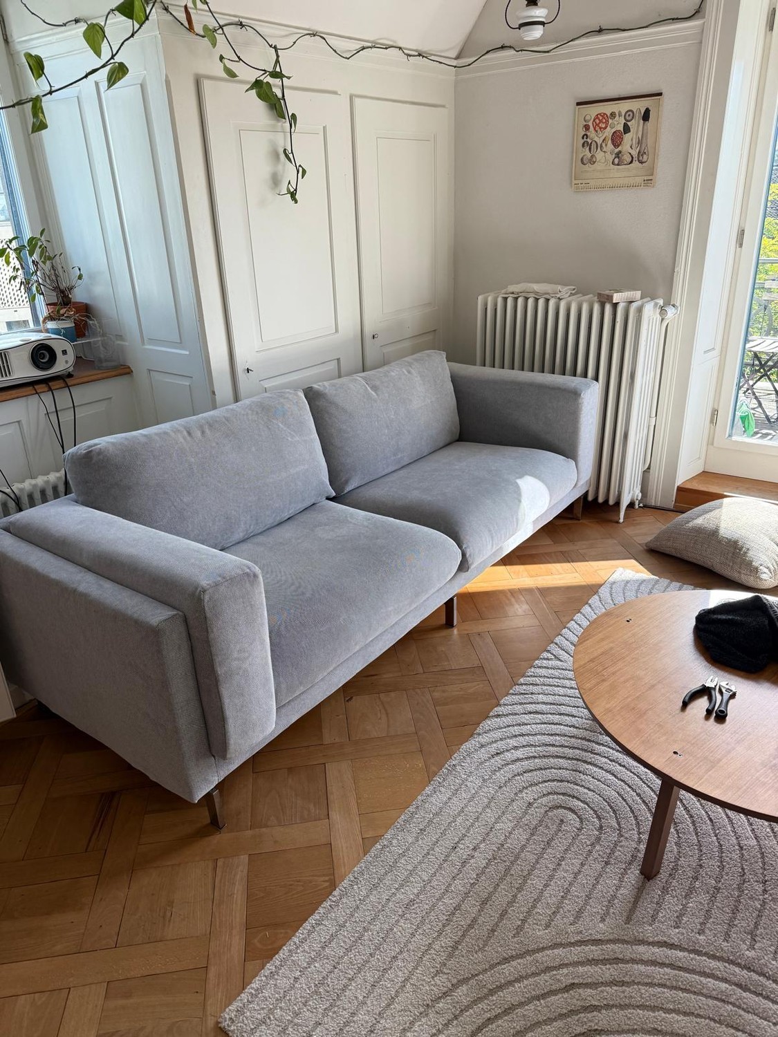 Room in a shared flat