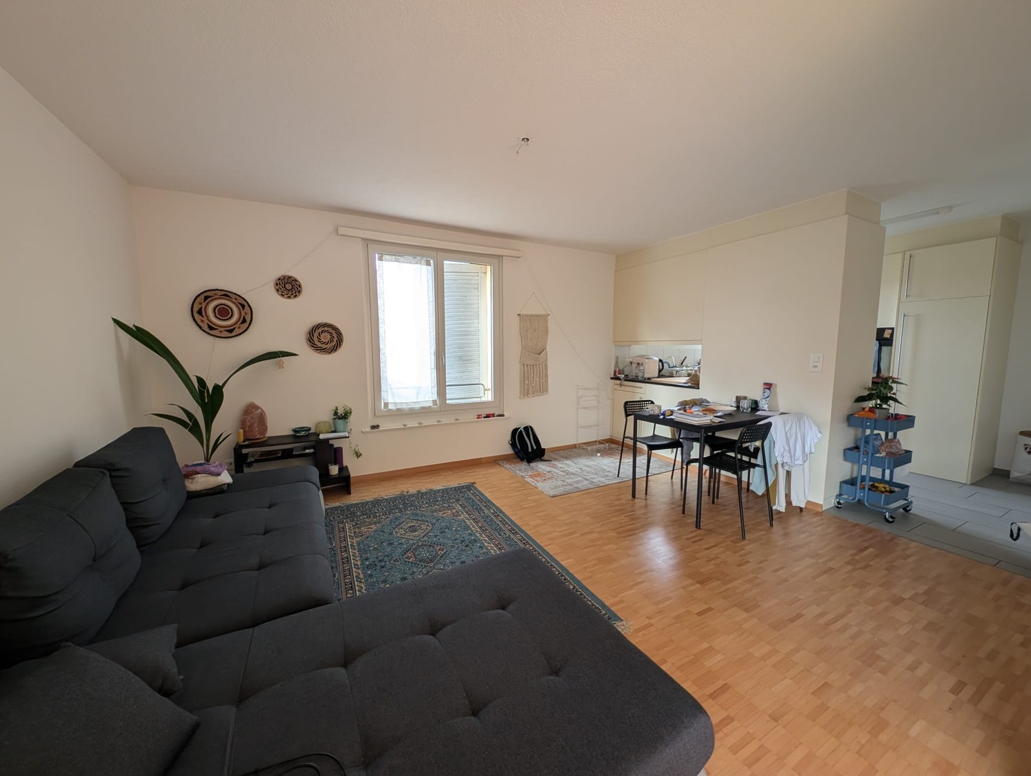 Room in a shared flat