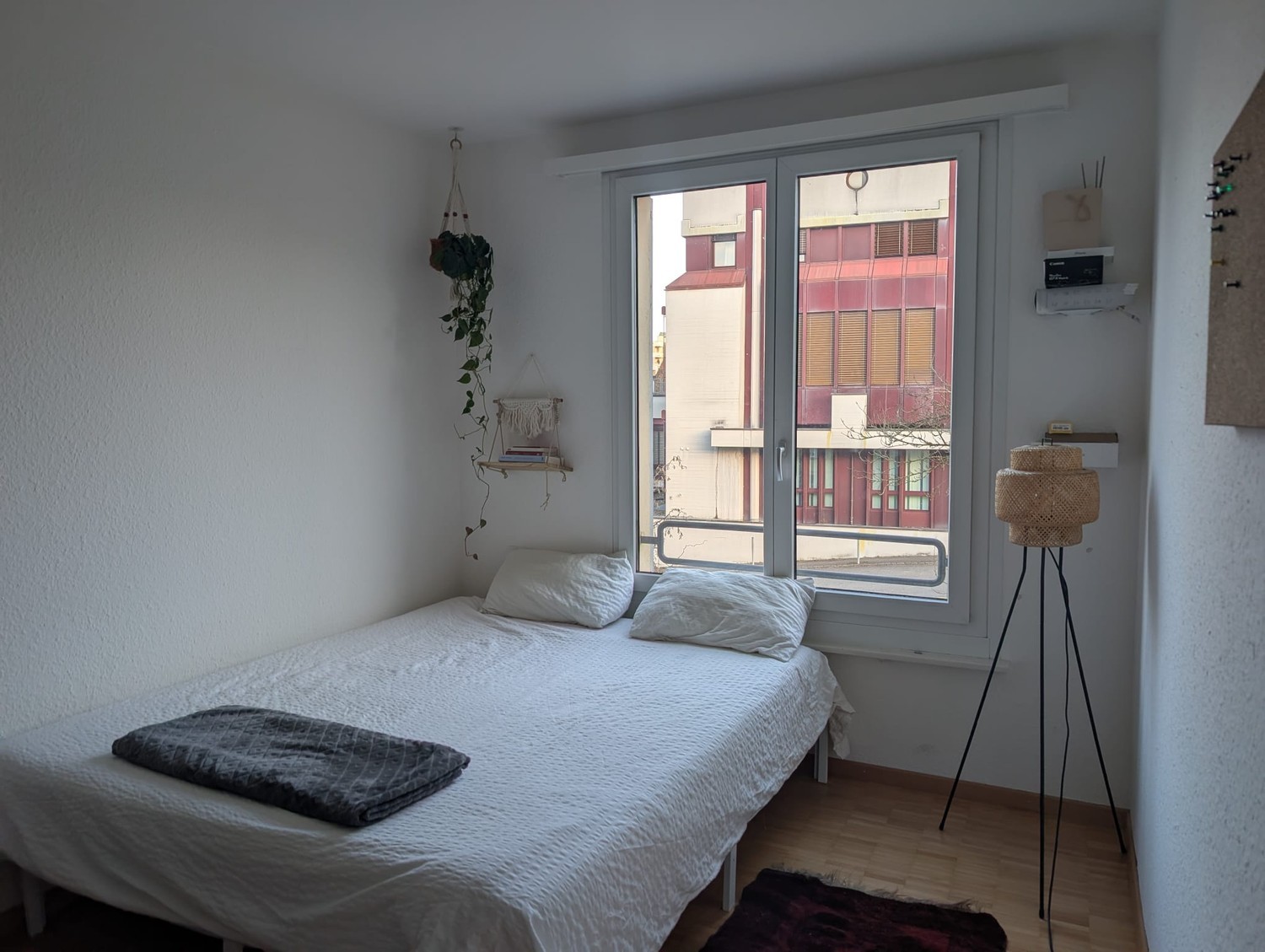 Room in a shared flat