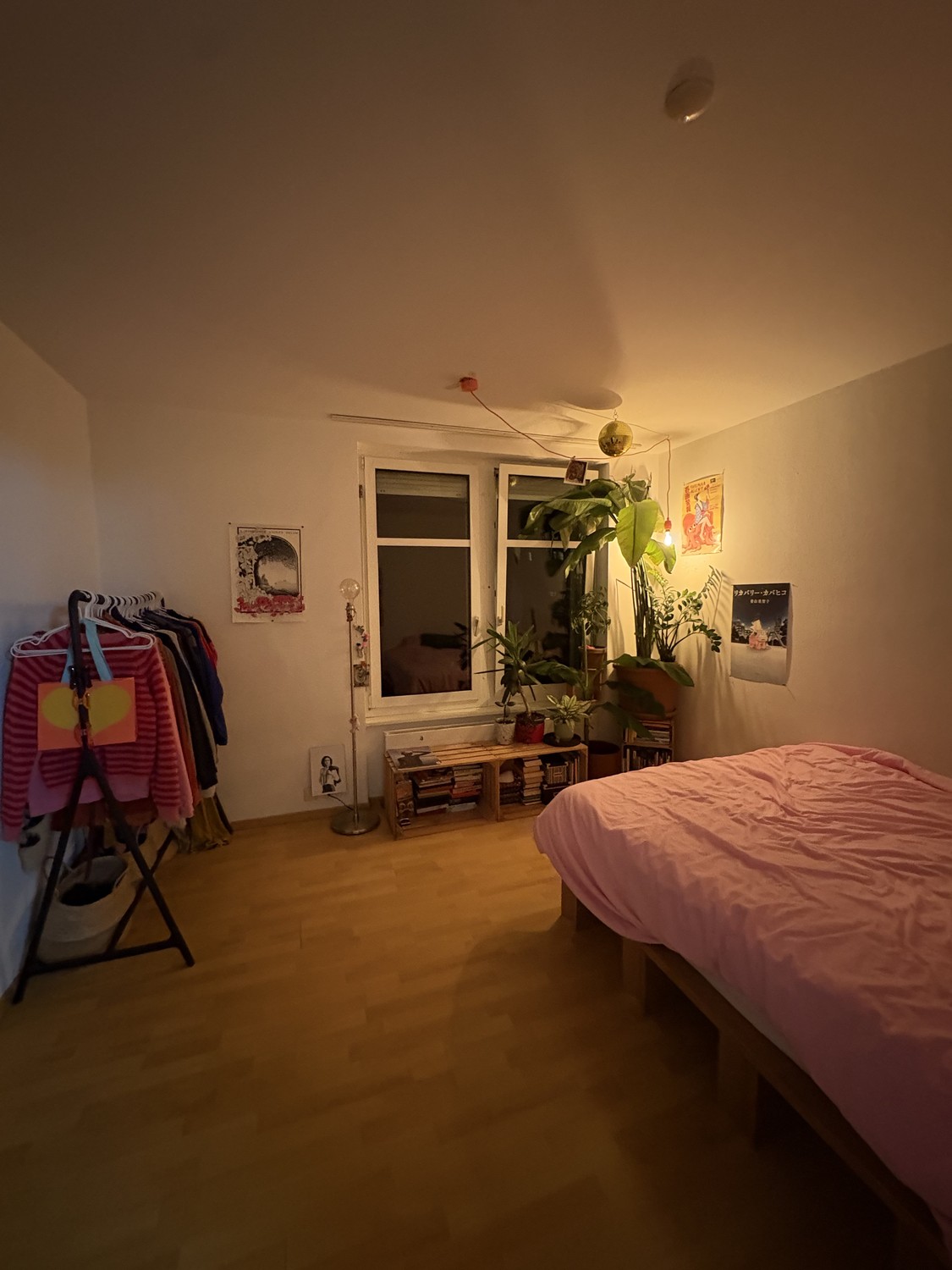 Room in a shared flat