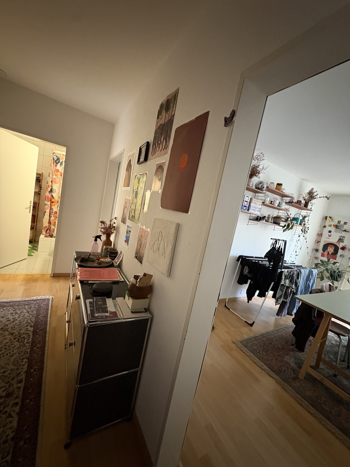 Room in a shared flat