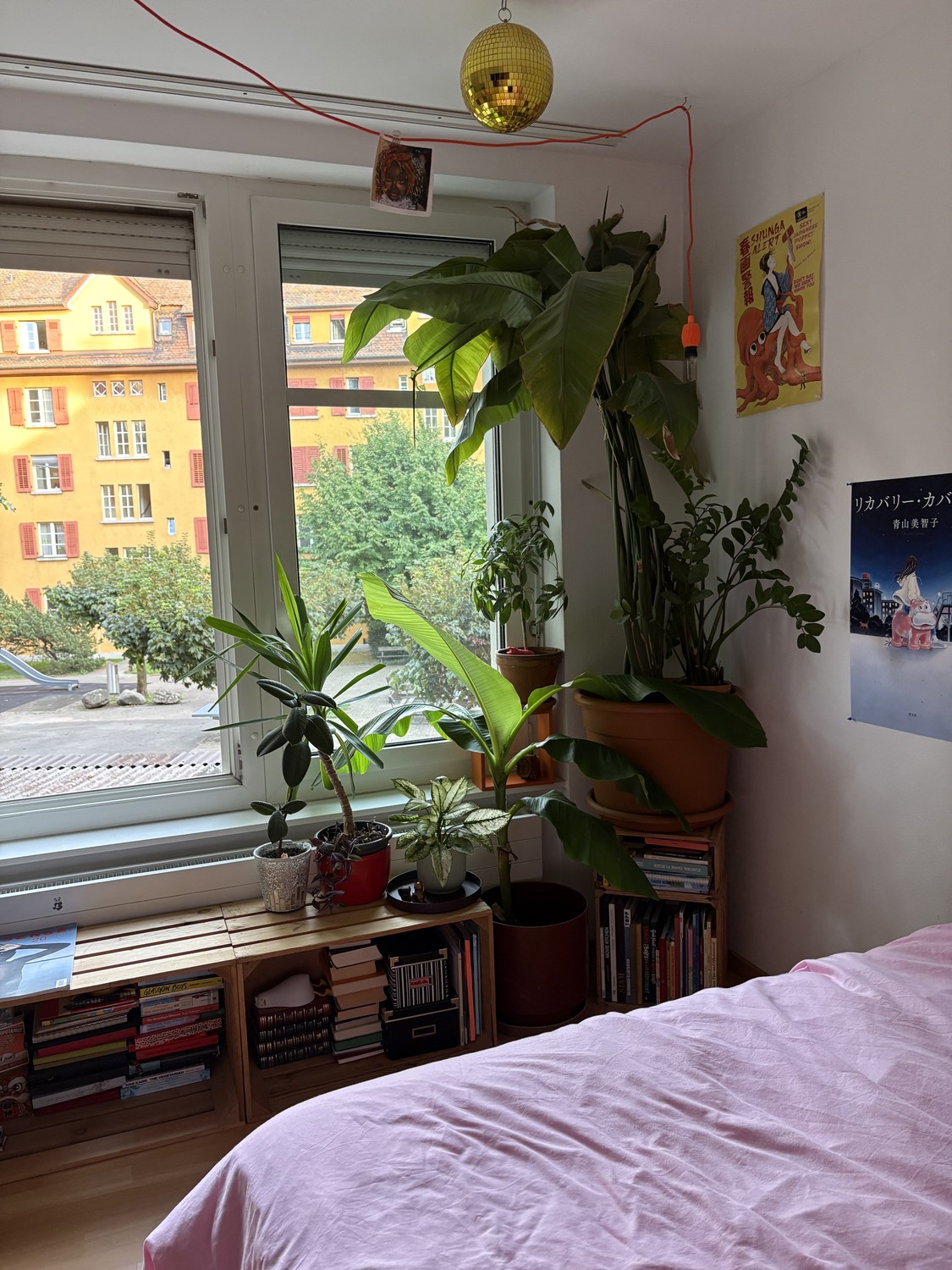 Room in a shared flat