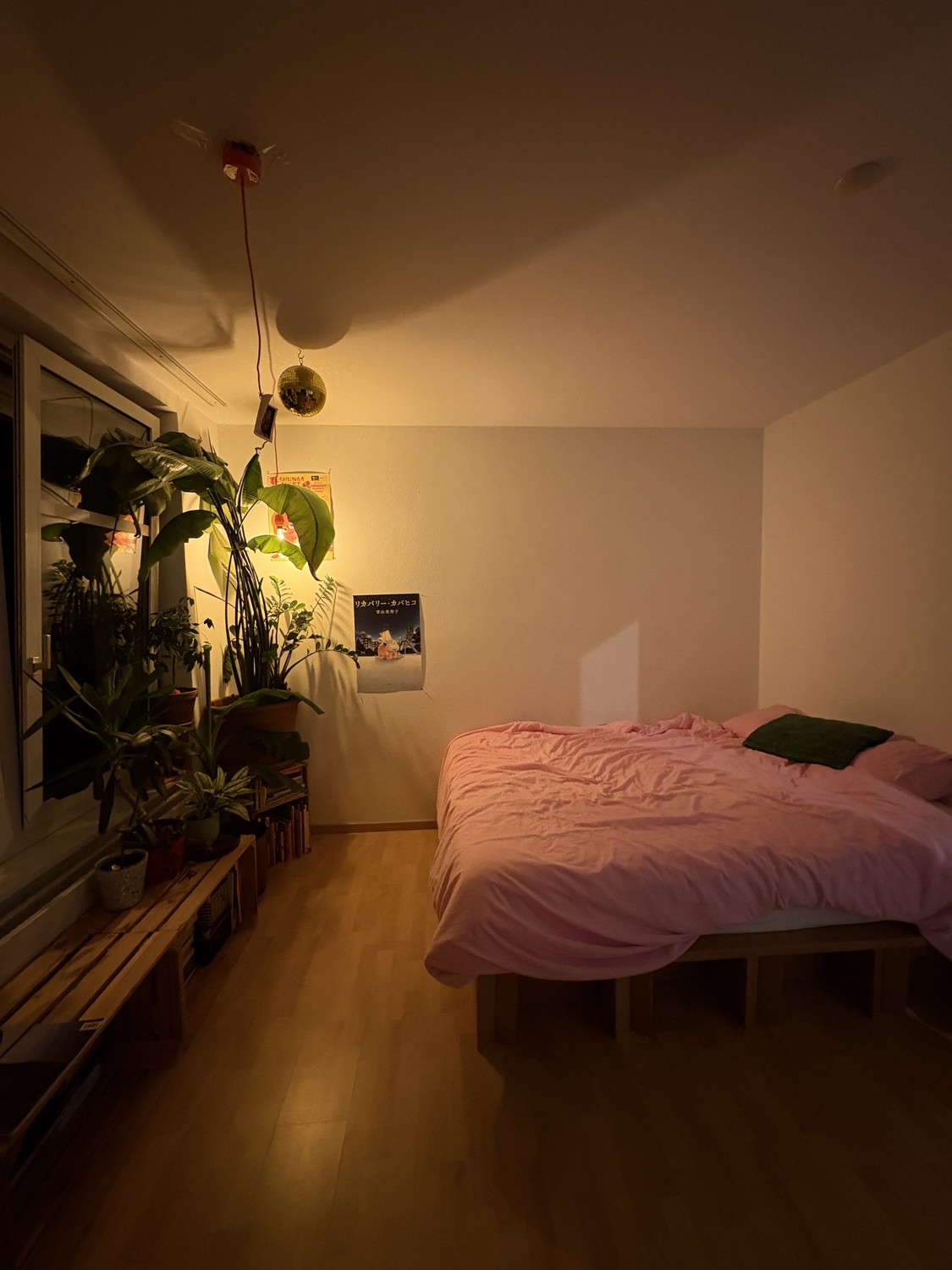 Room in a shared flat
