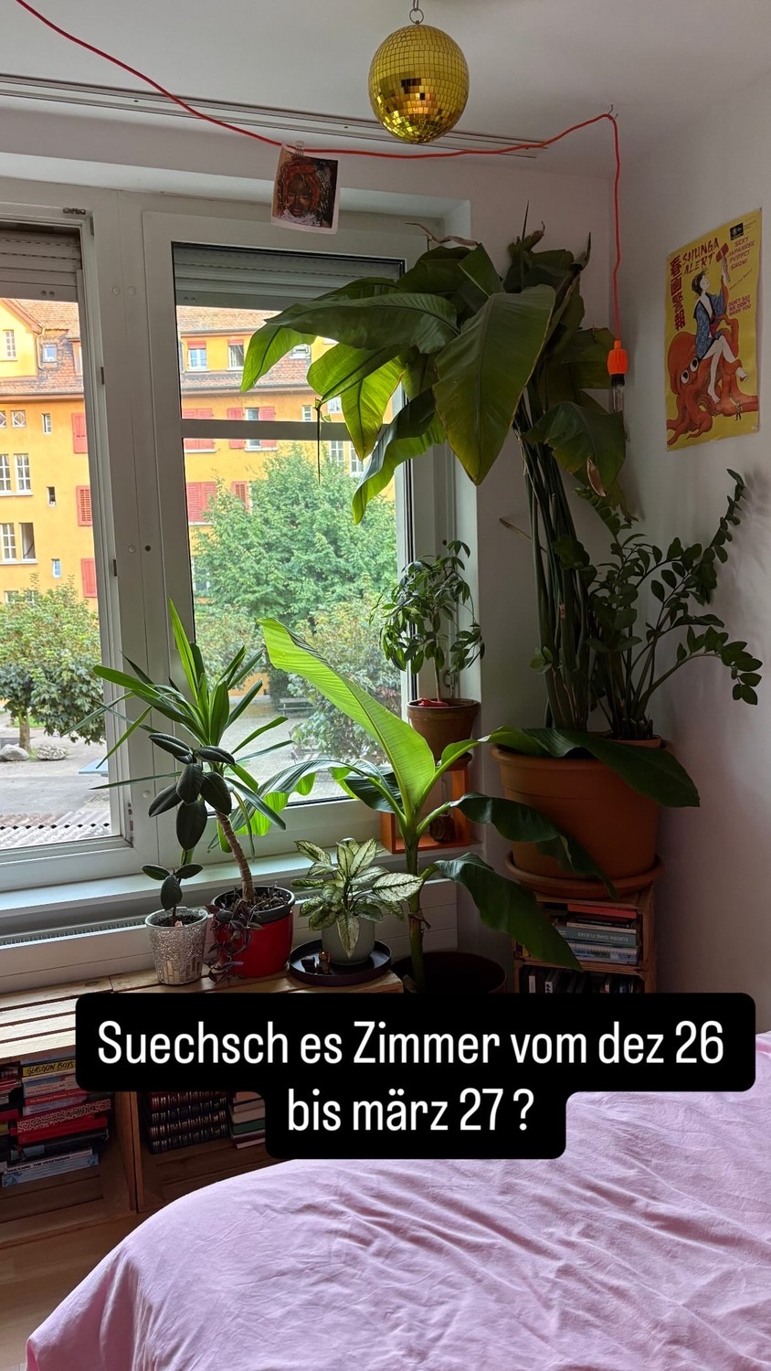 Room in a shared flat