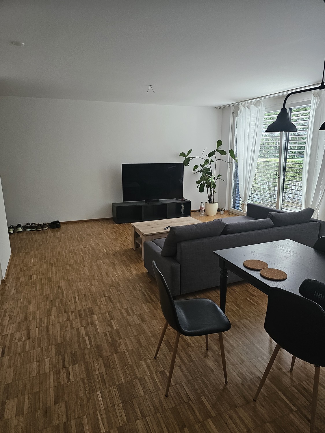 Room in a shared flat