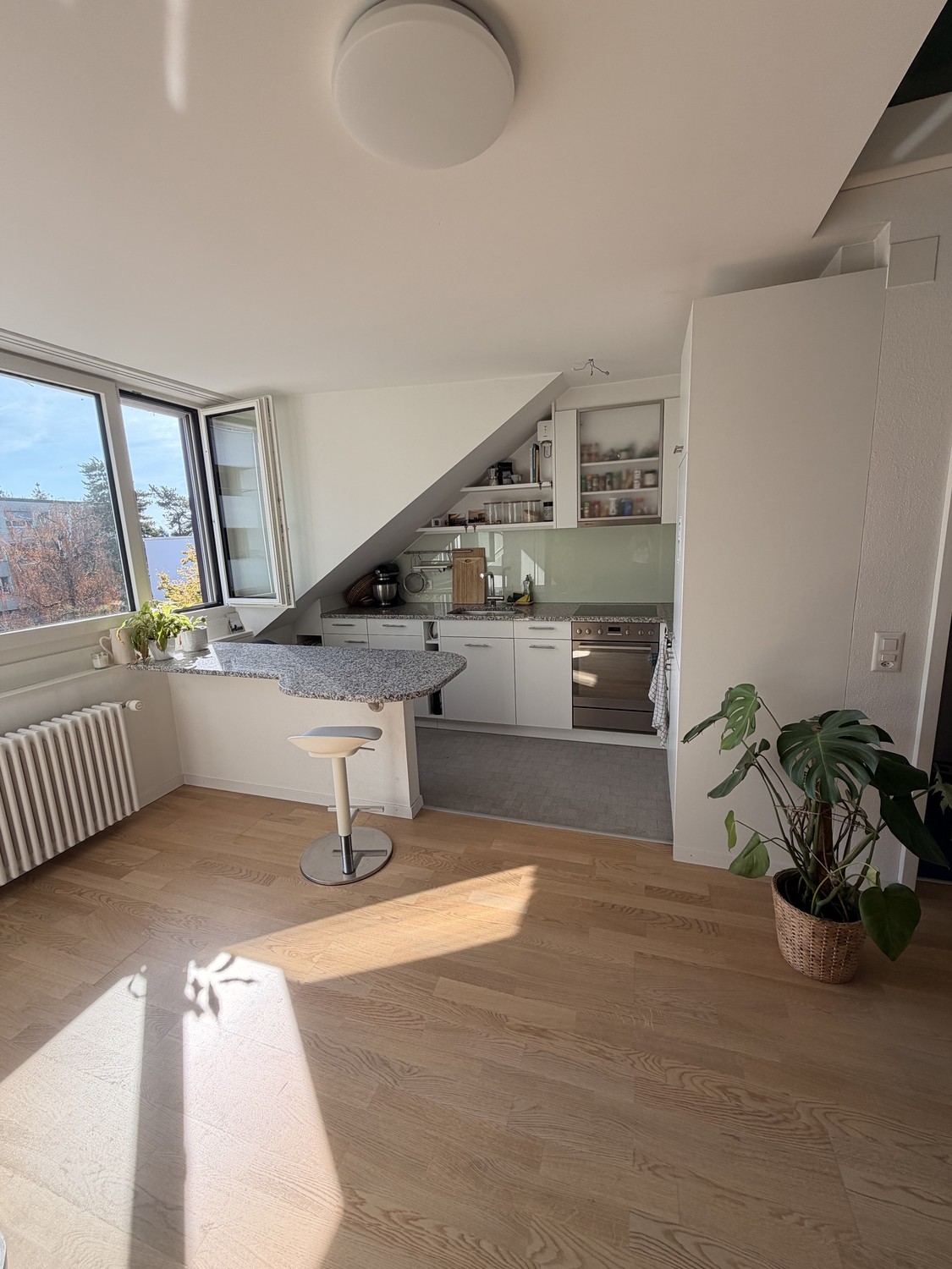 1 ½ rooms apartment, photo 3 of 10