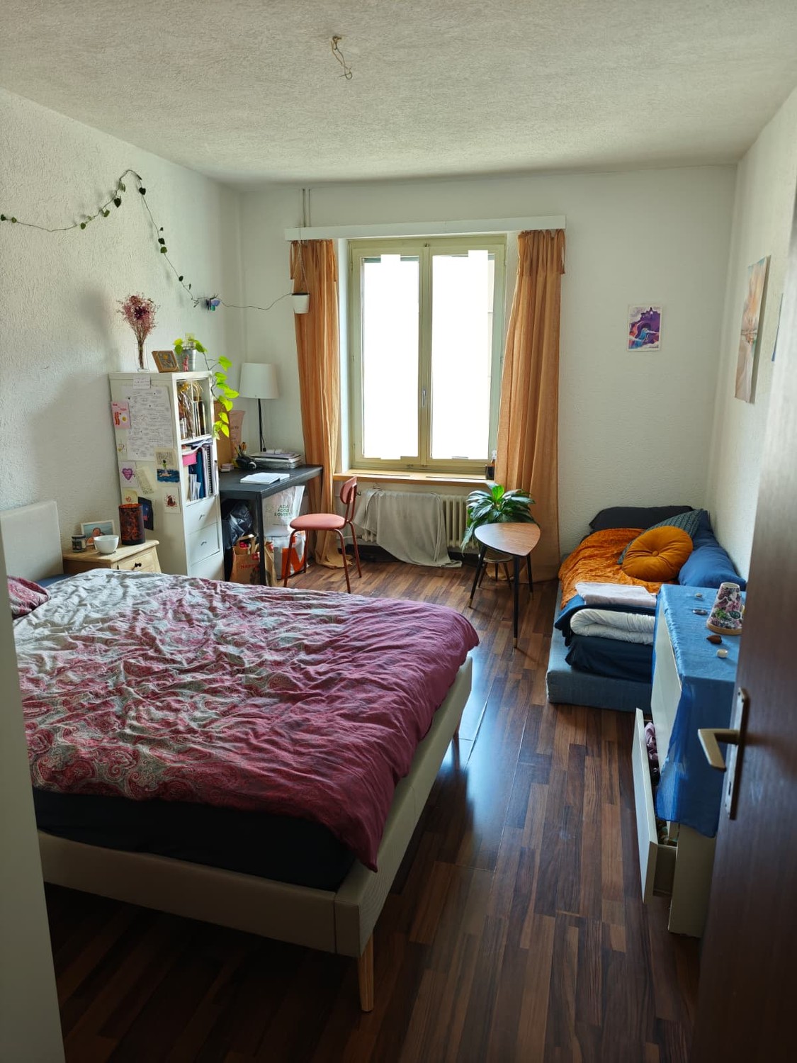 Room in a shared flat