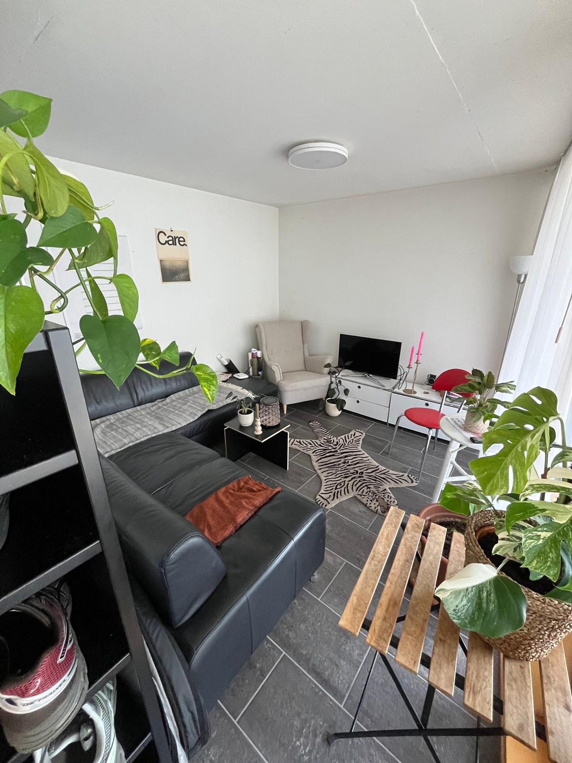 Room in a shared flat