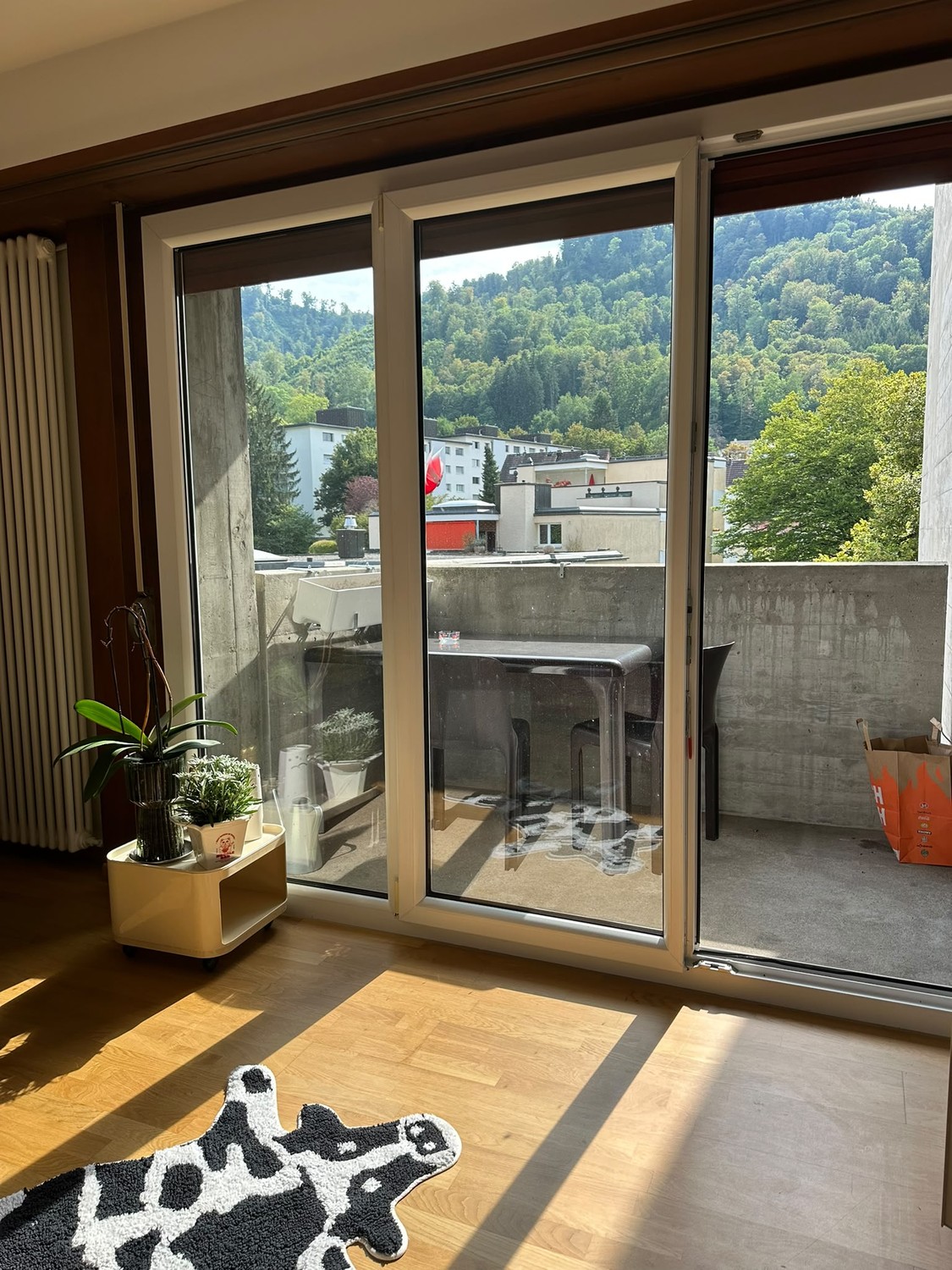2 ½ rooms apartment, photo 4 of 5