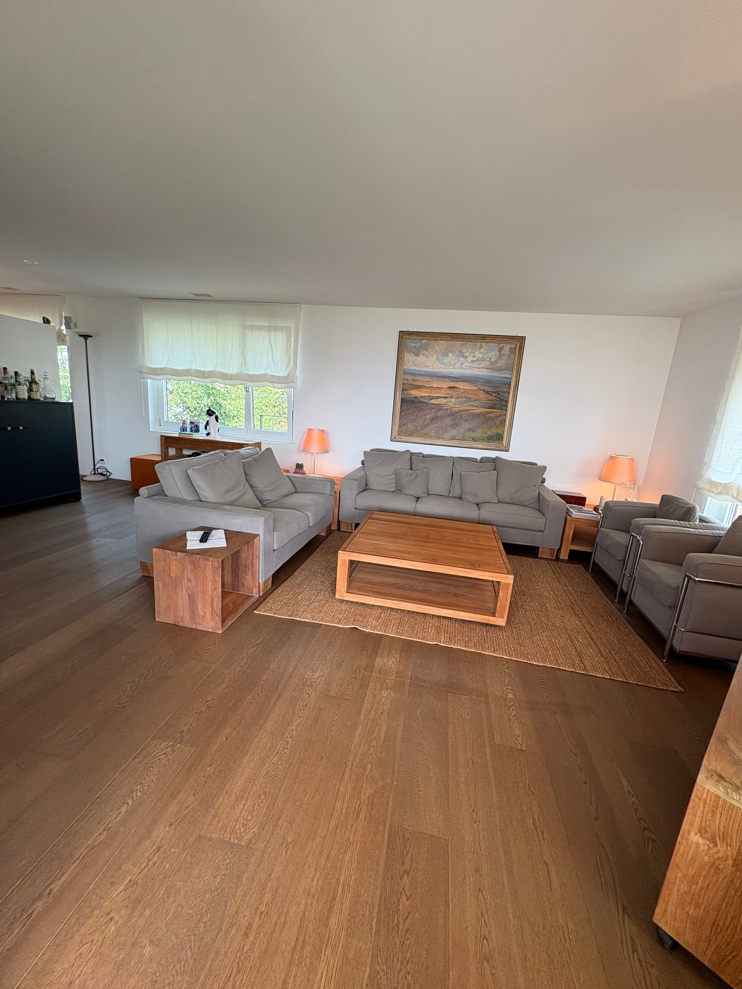 2 ½ rooms furnished flat