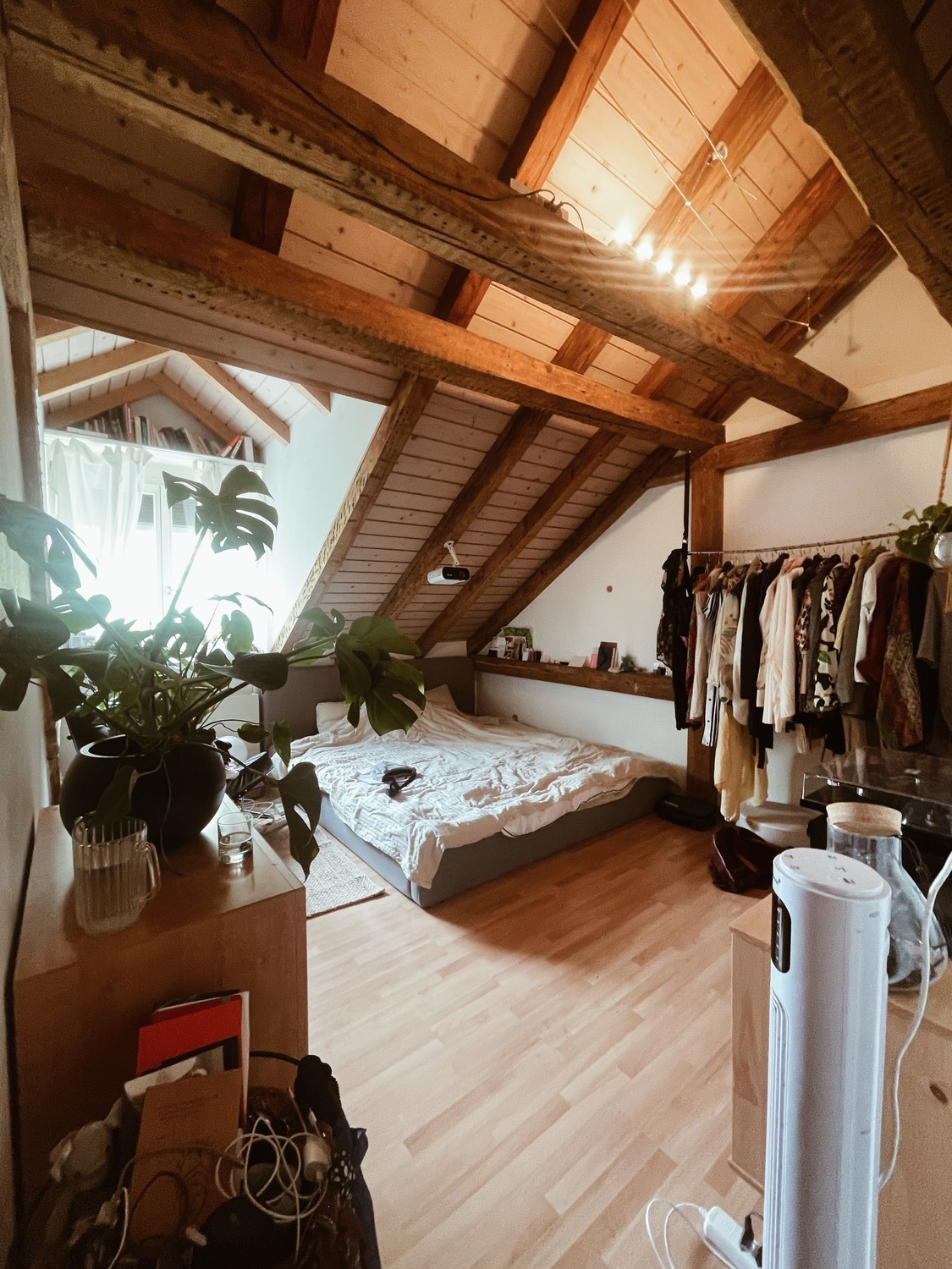 Room in a shared flat