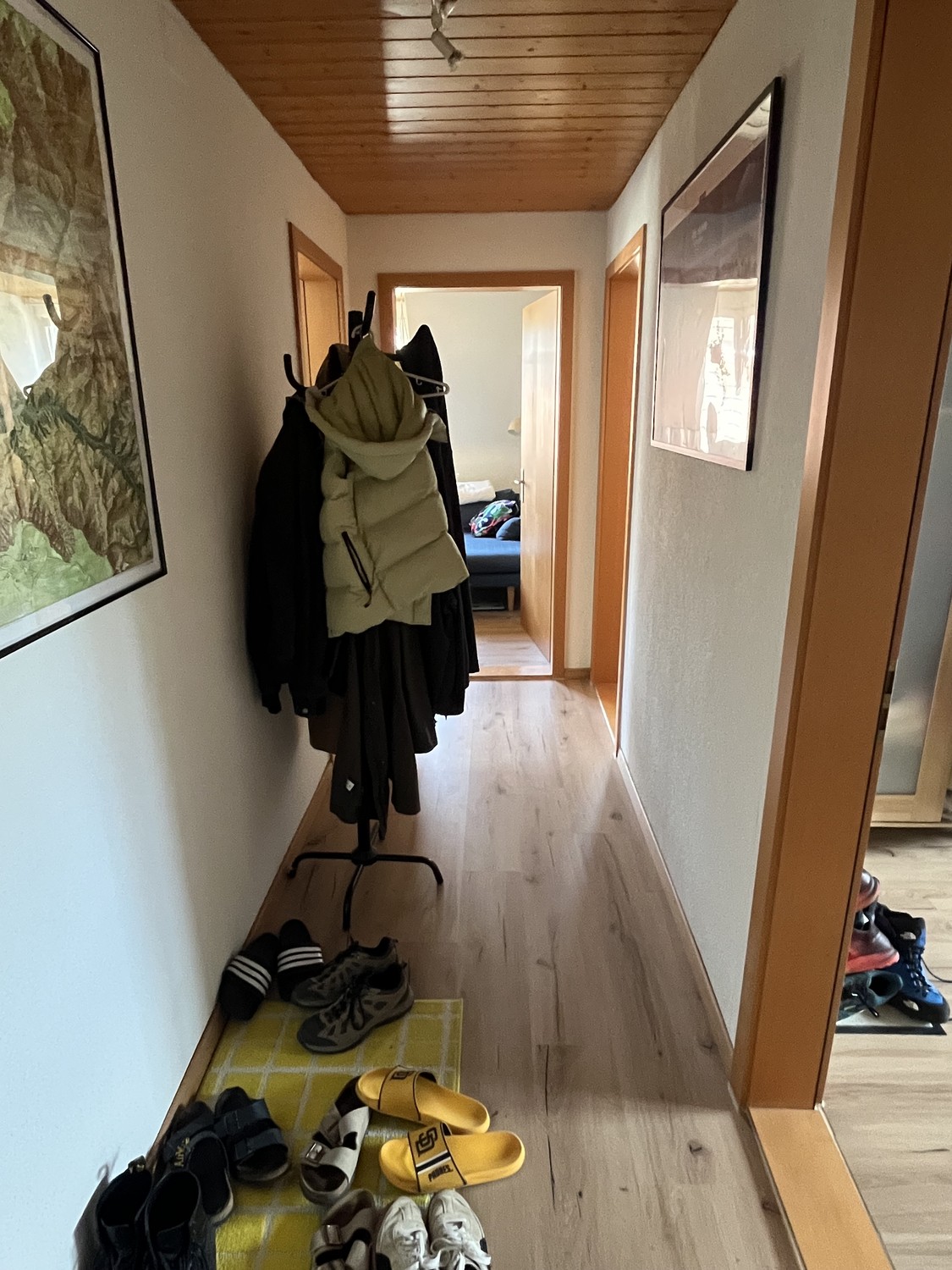 Room in a shared flat