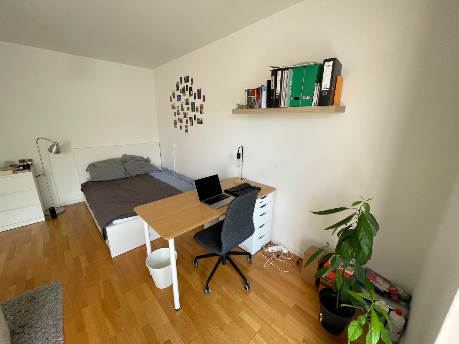 Room in a shared flat