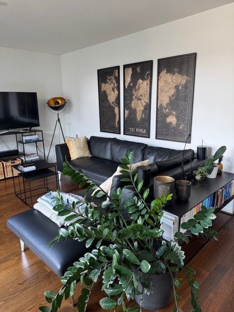 4 ½ rooms furnished flat