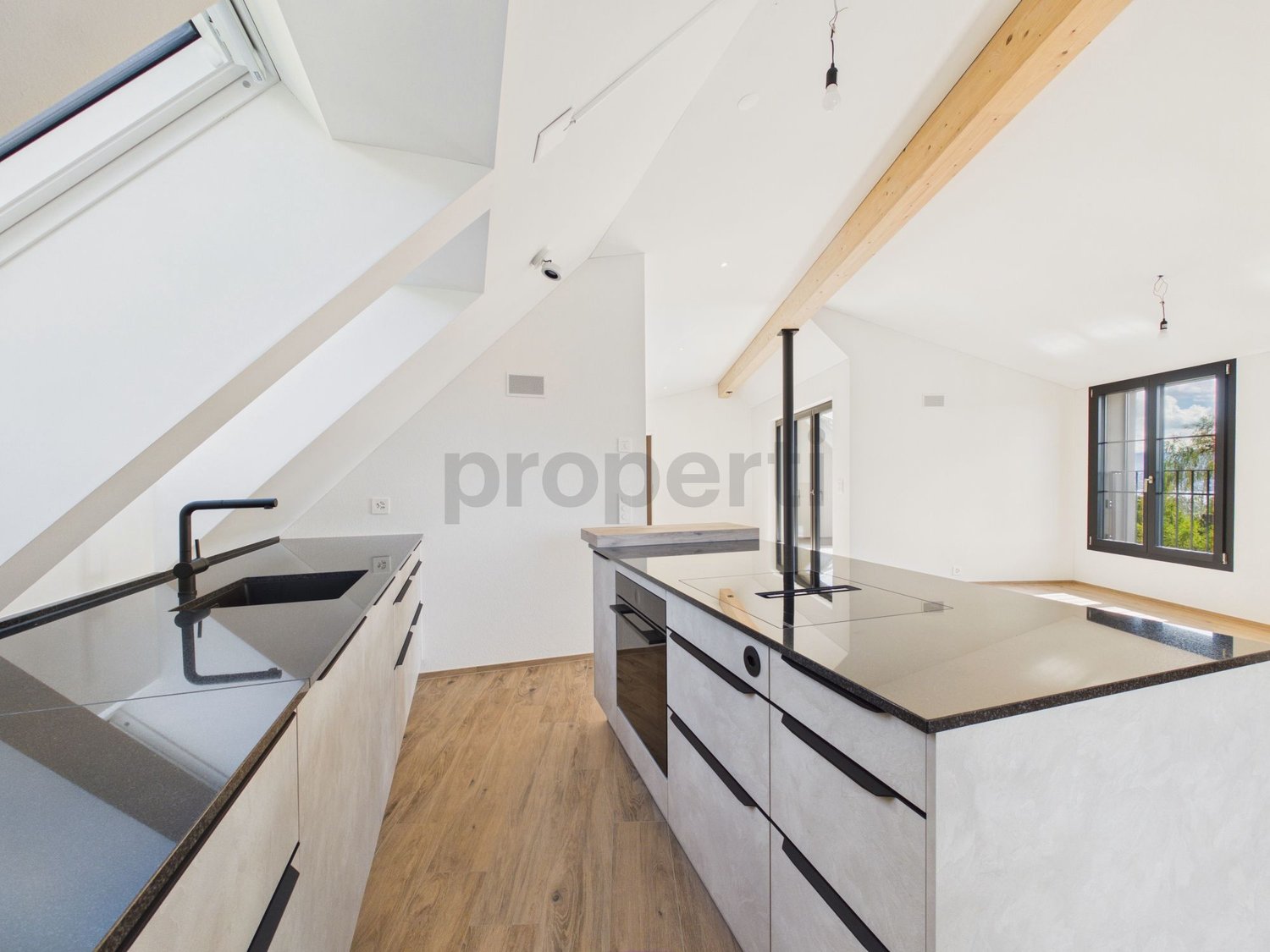 2 ½ rooms apartment