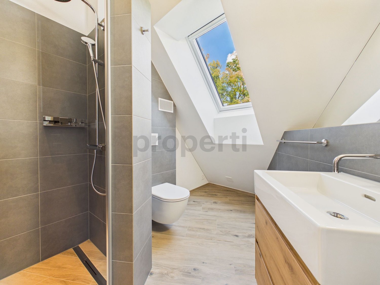 2 ½ rooms apartment
