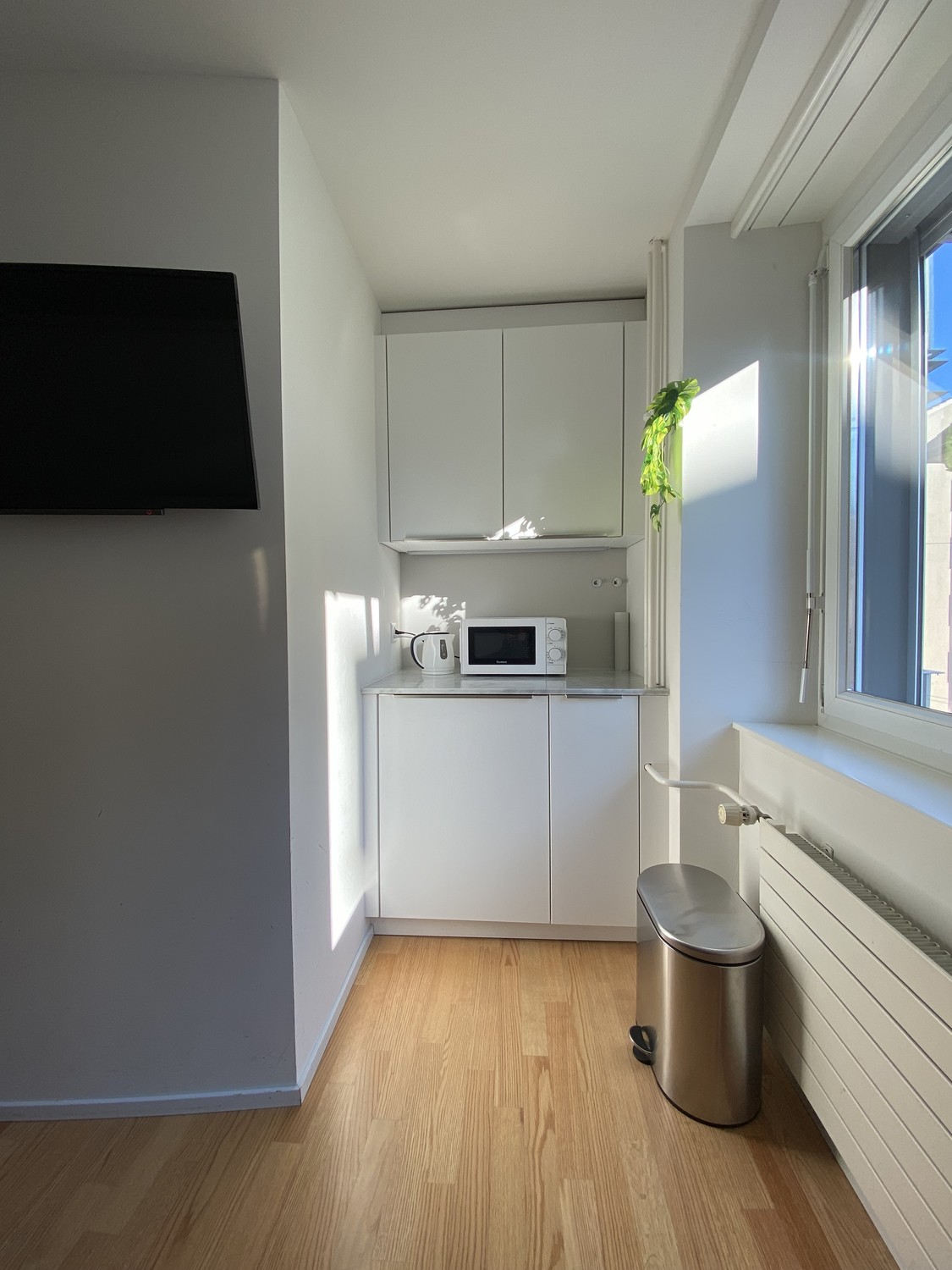 1 ½ rooms apartment