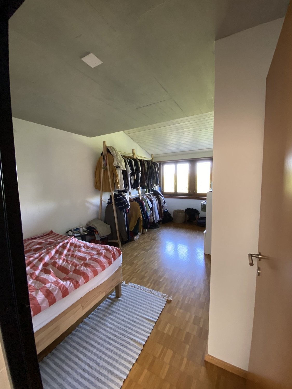 Room in a shared flat