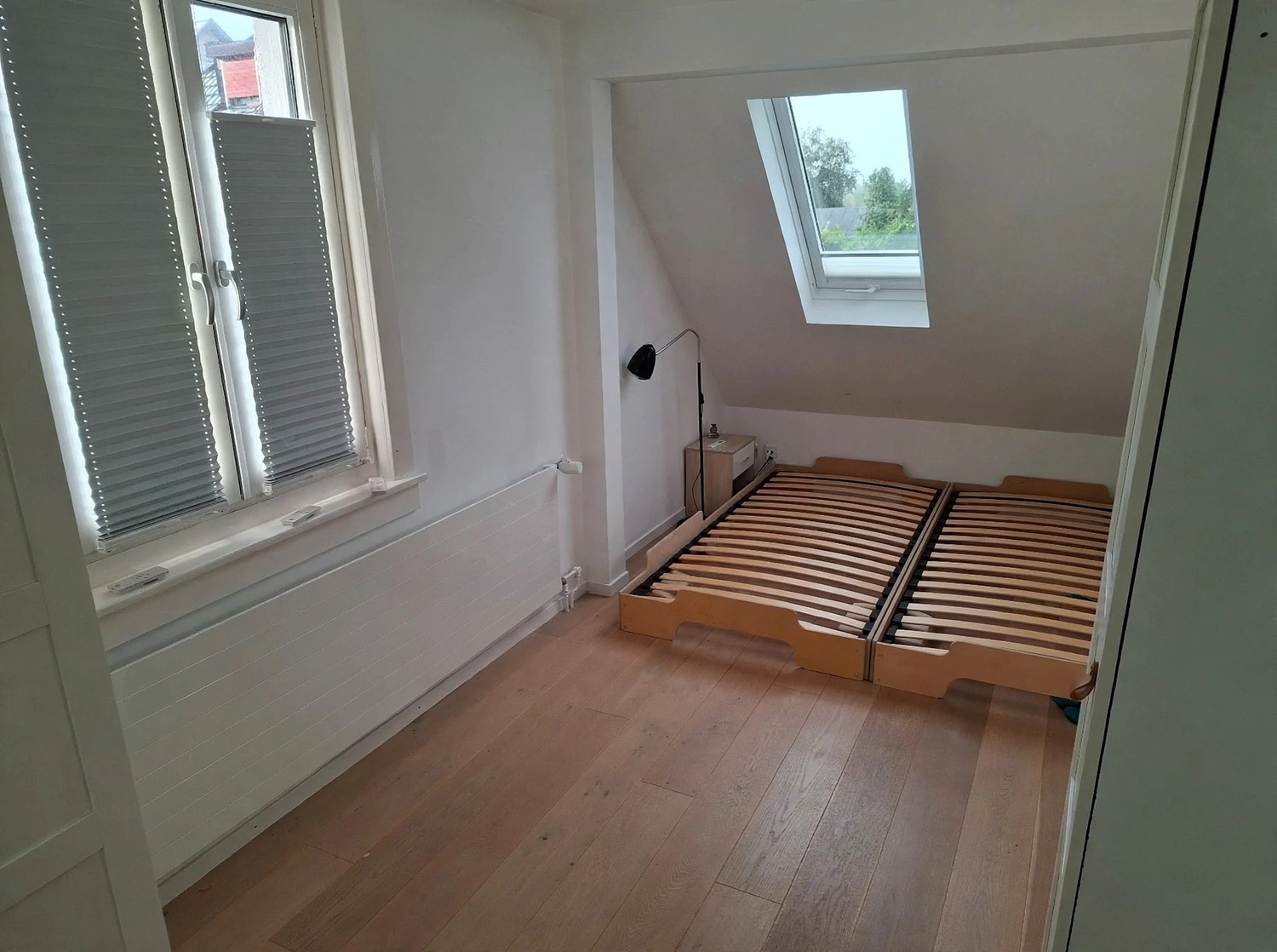 Room in a shared flat