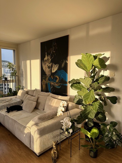 Chambre dans un appartement partagé