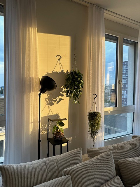 Chambre dans un appartement partagé