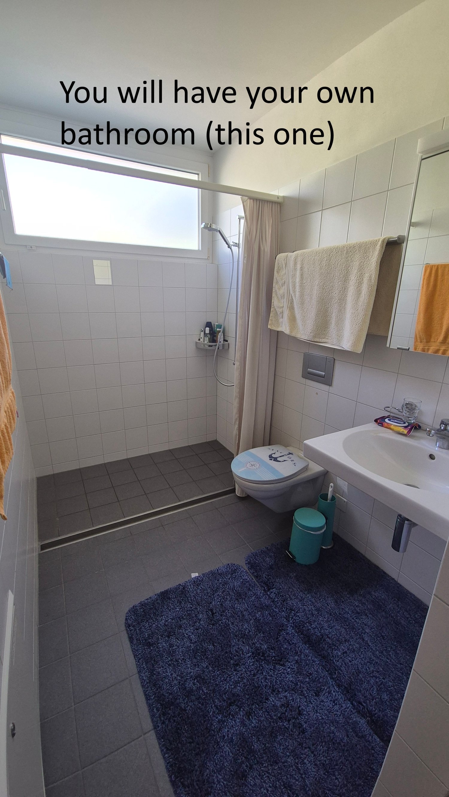 Room in a shared flat
