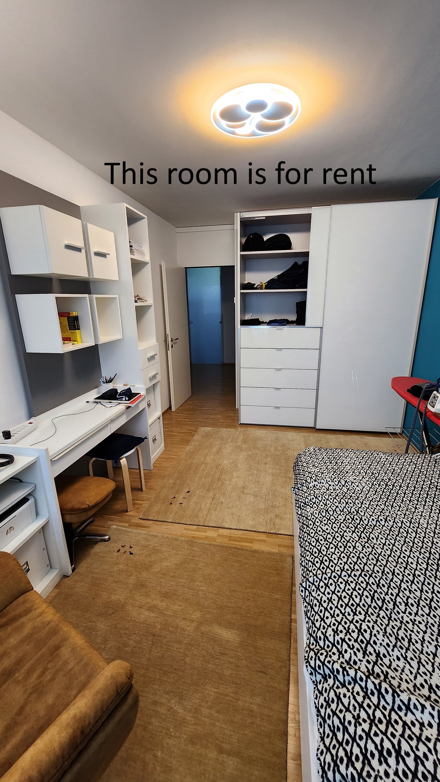 Room in a shared flat