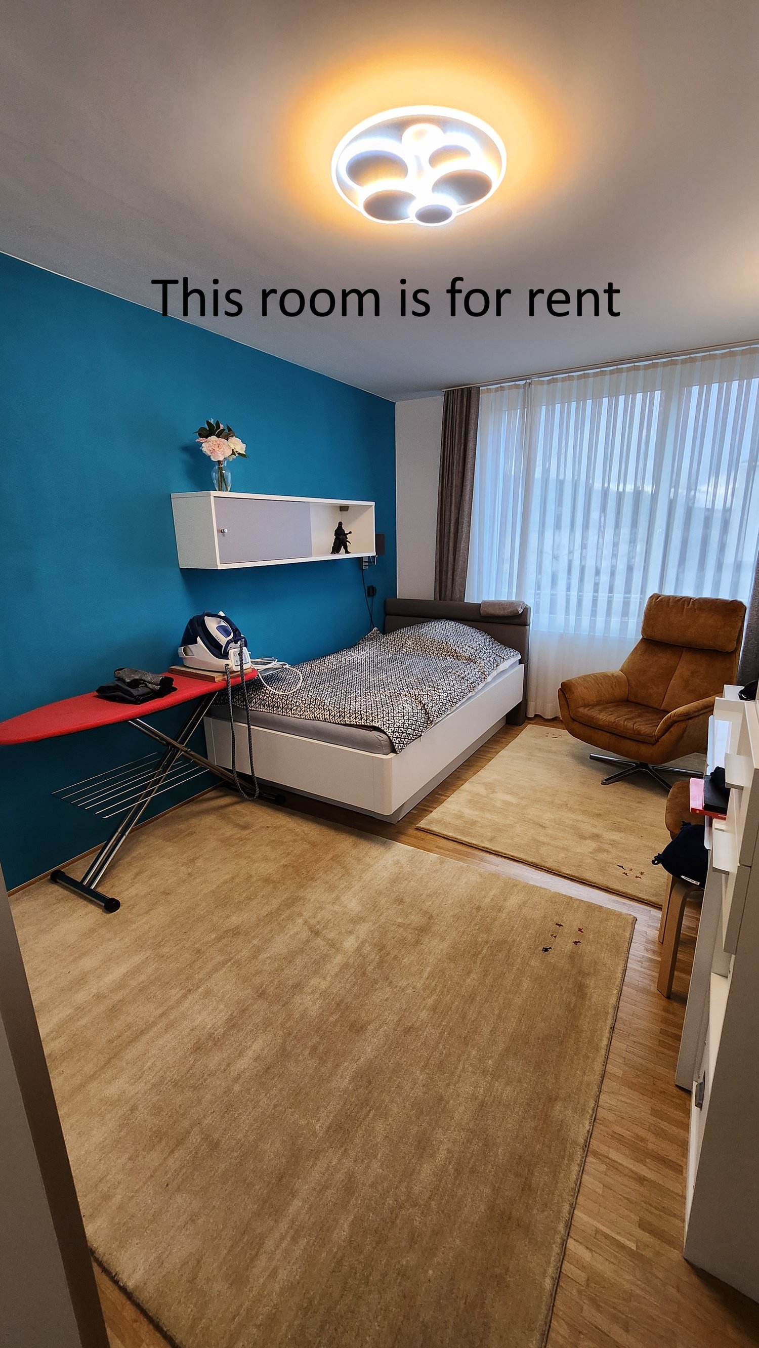 Room in a shared flat