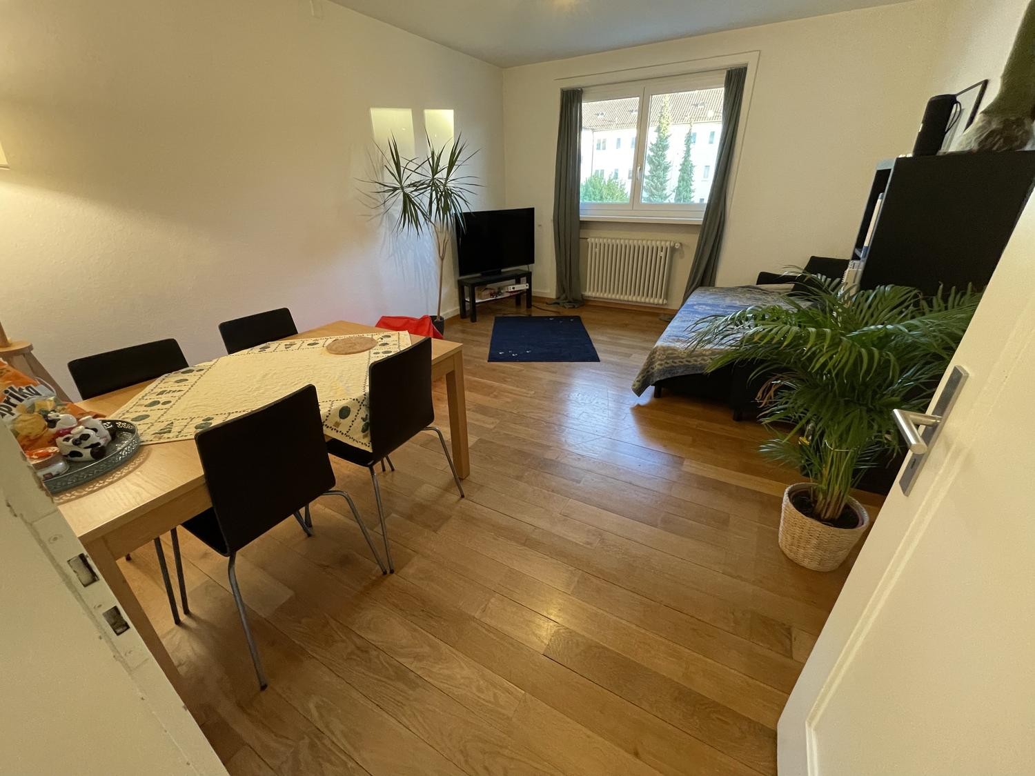 Room in a shared flat