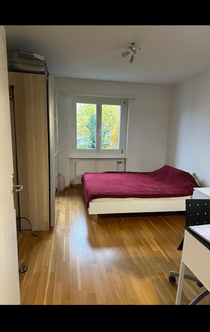 Room in a shared flat