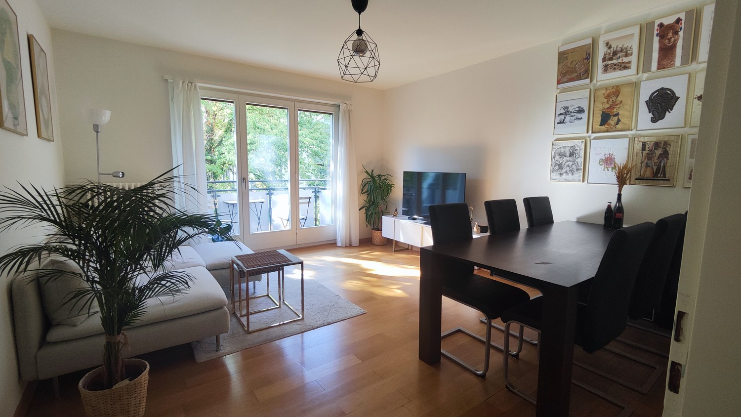 Room in a shared flat
