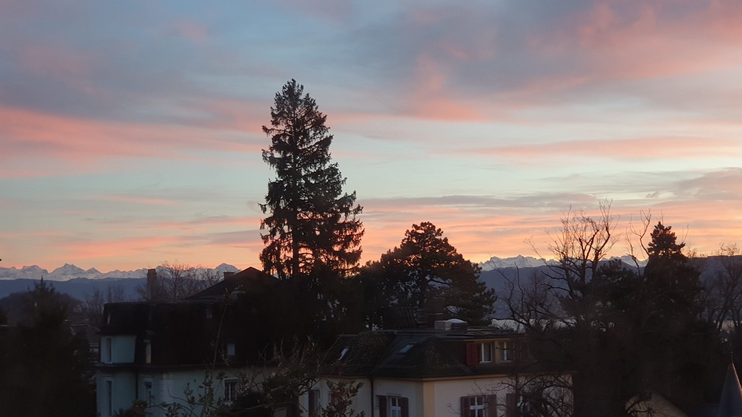 3 ½ Zimmer-Wohnung