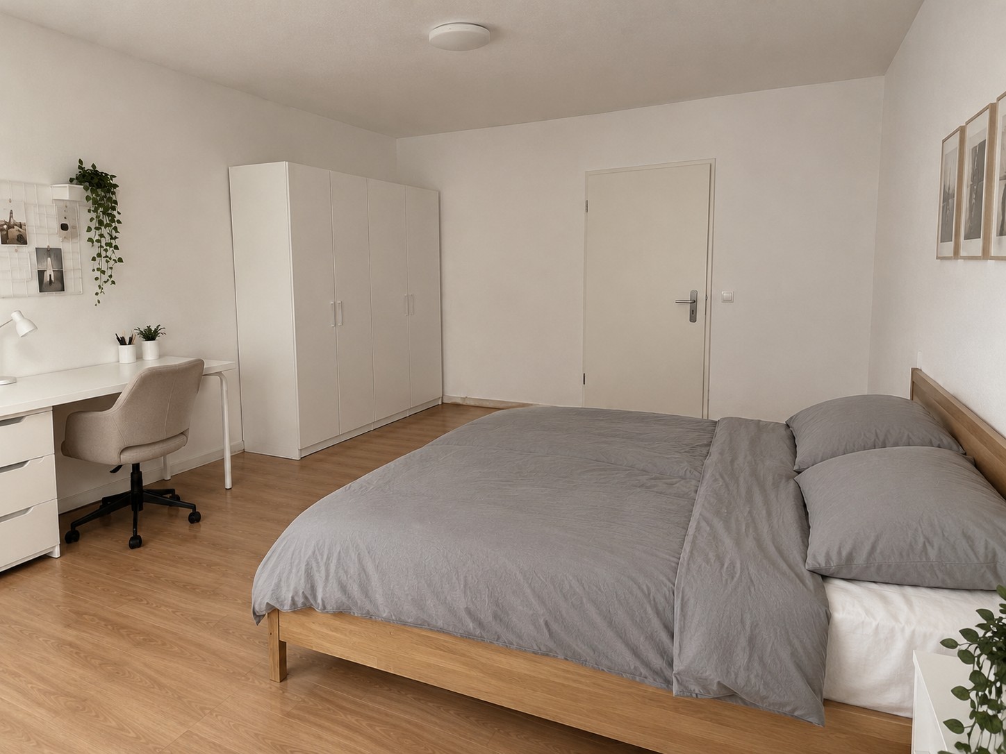 Room in a shared flat