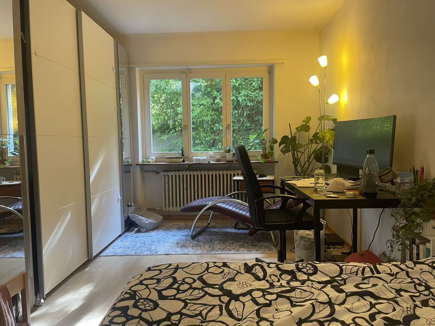 Chambre dans un appartement partagé