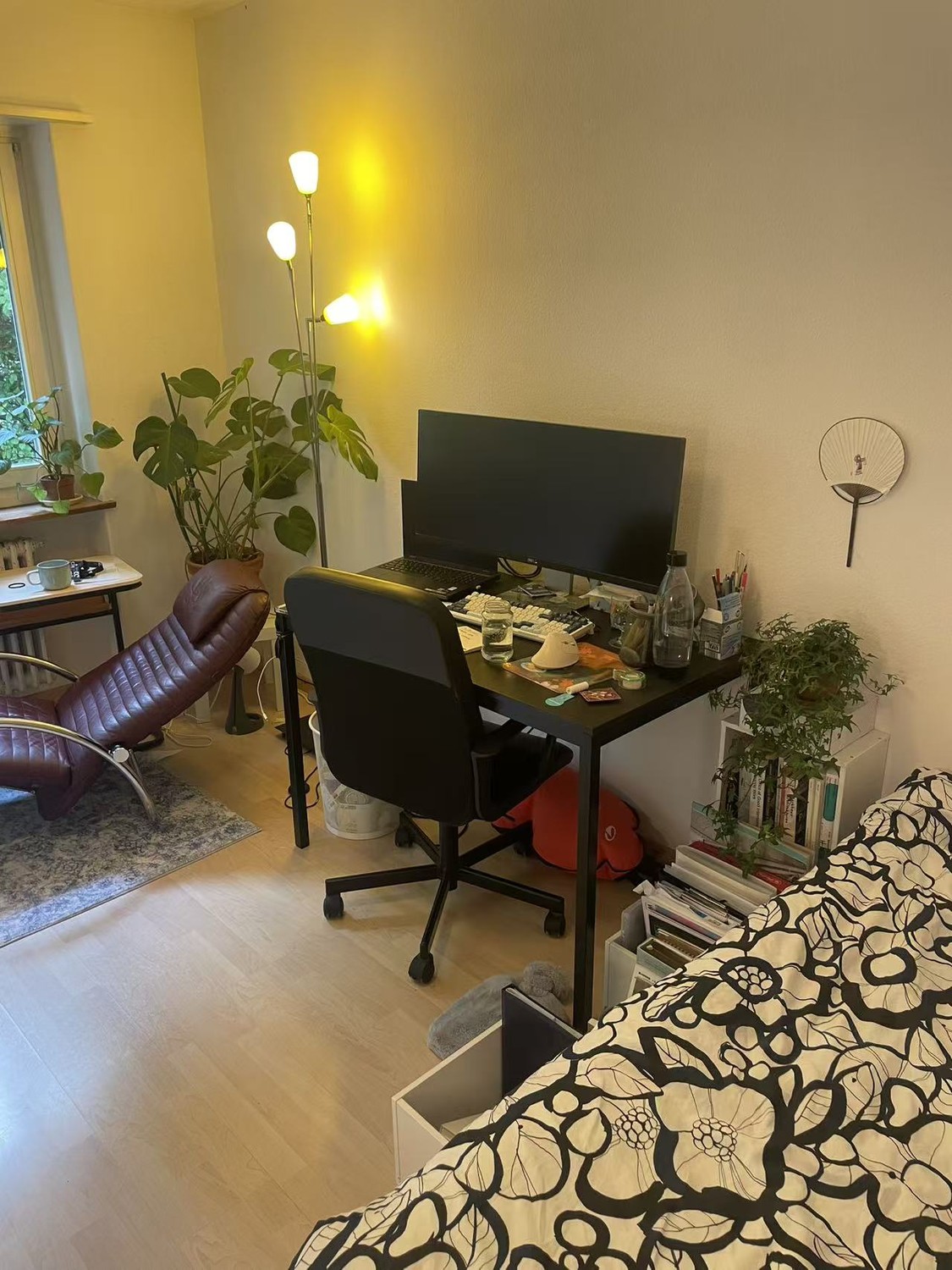 Chambre dans un appartement partagé