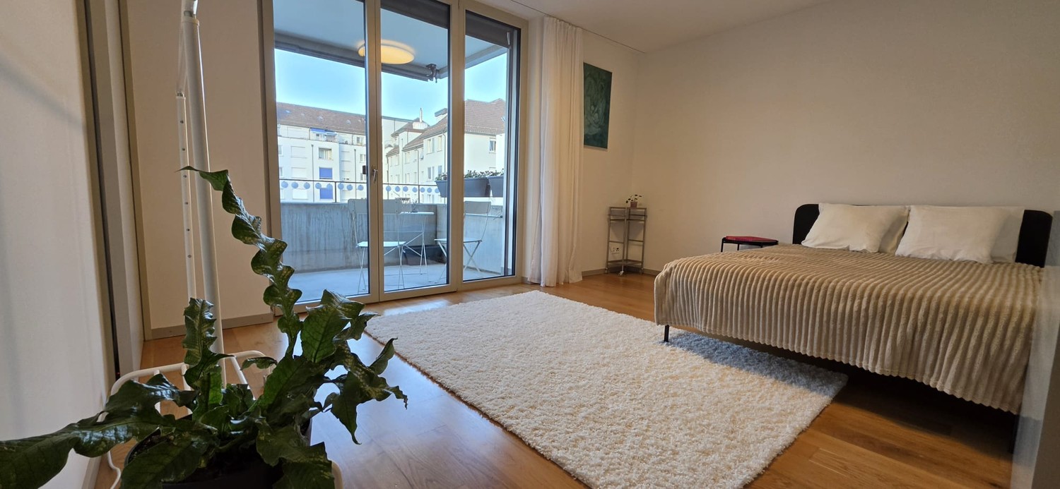 Room in a shared flat