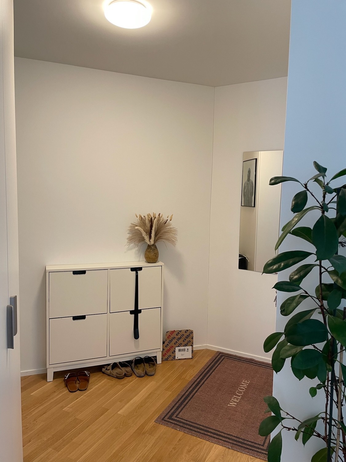 2 ½ rooms apartment
