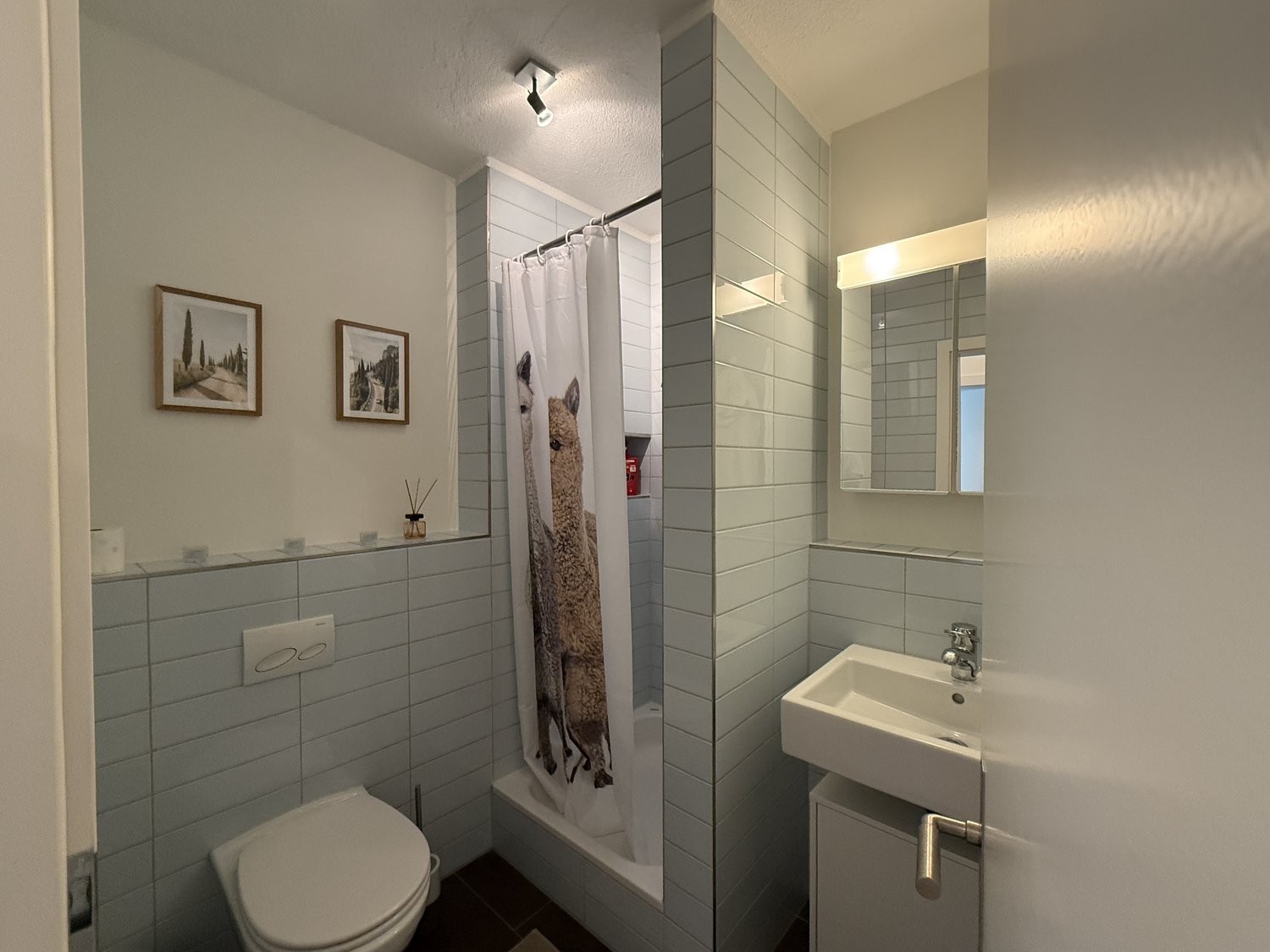 2 ½ rooms furnished flat, photo 8 of 9