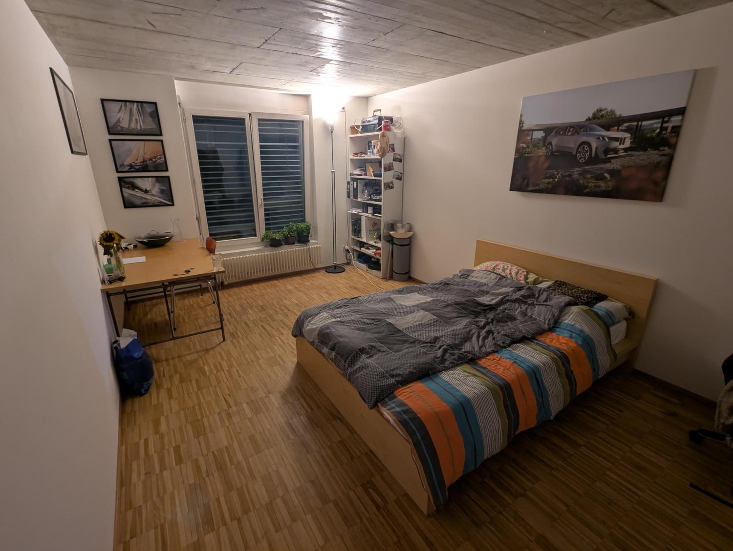 Room in a shared flat