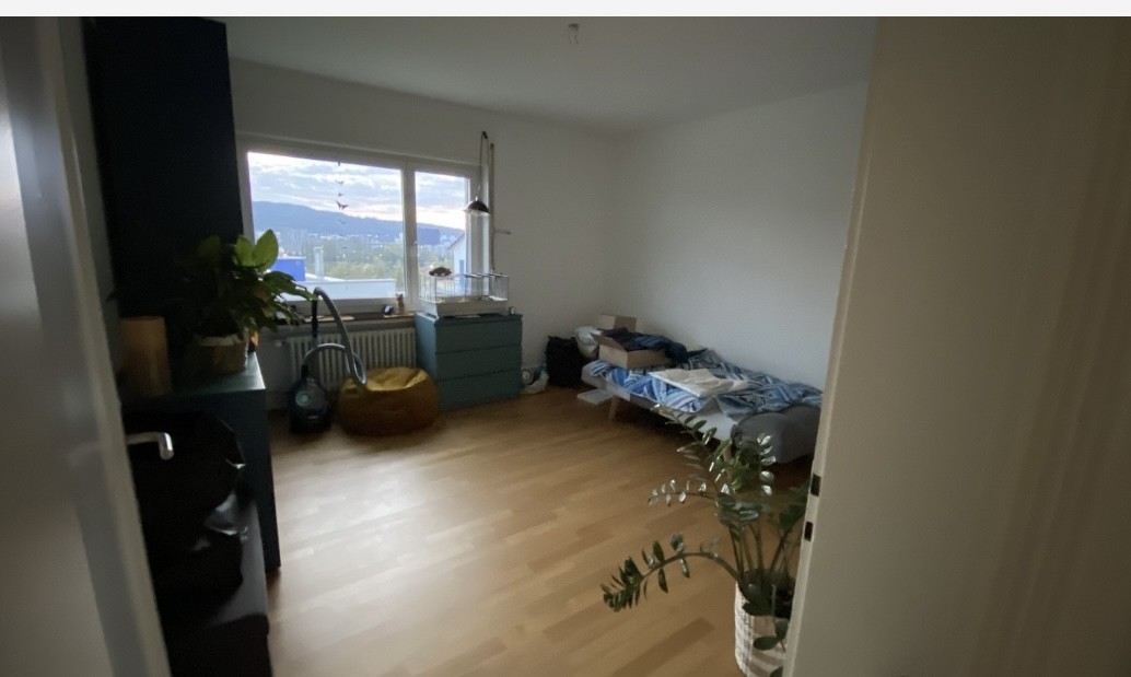 4 ½ rooms apartment