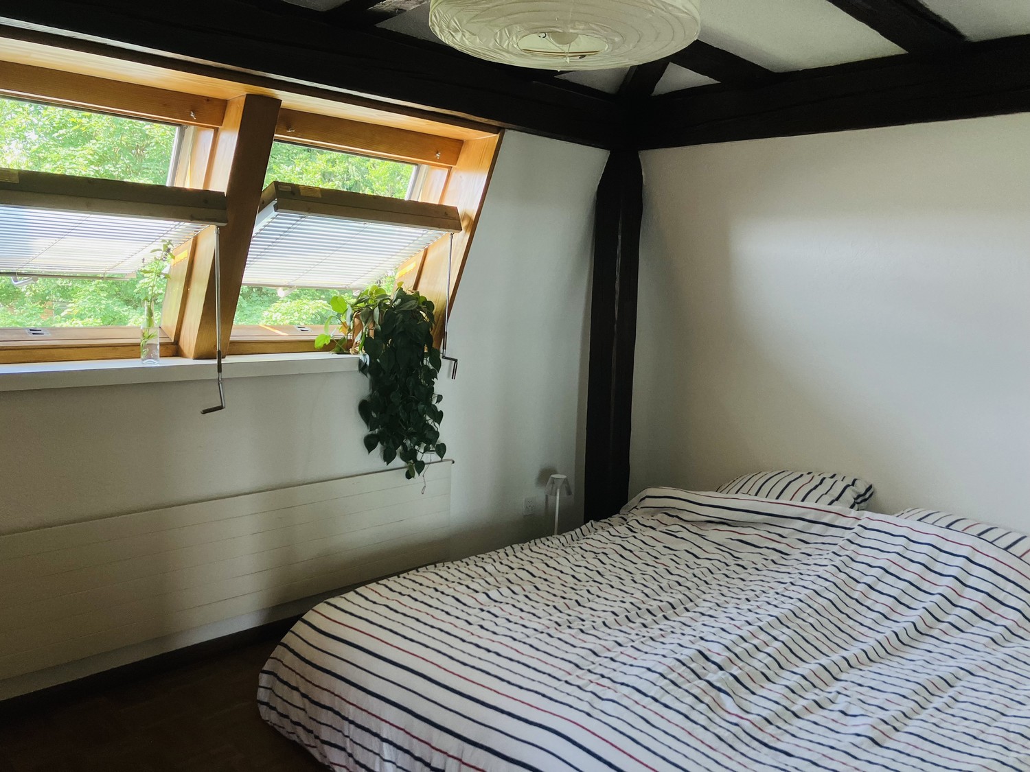 2 ½ Zimmer-Wohnung