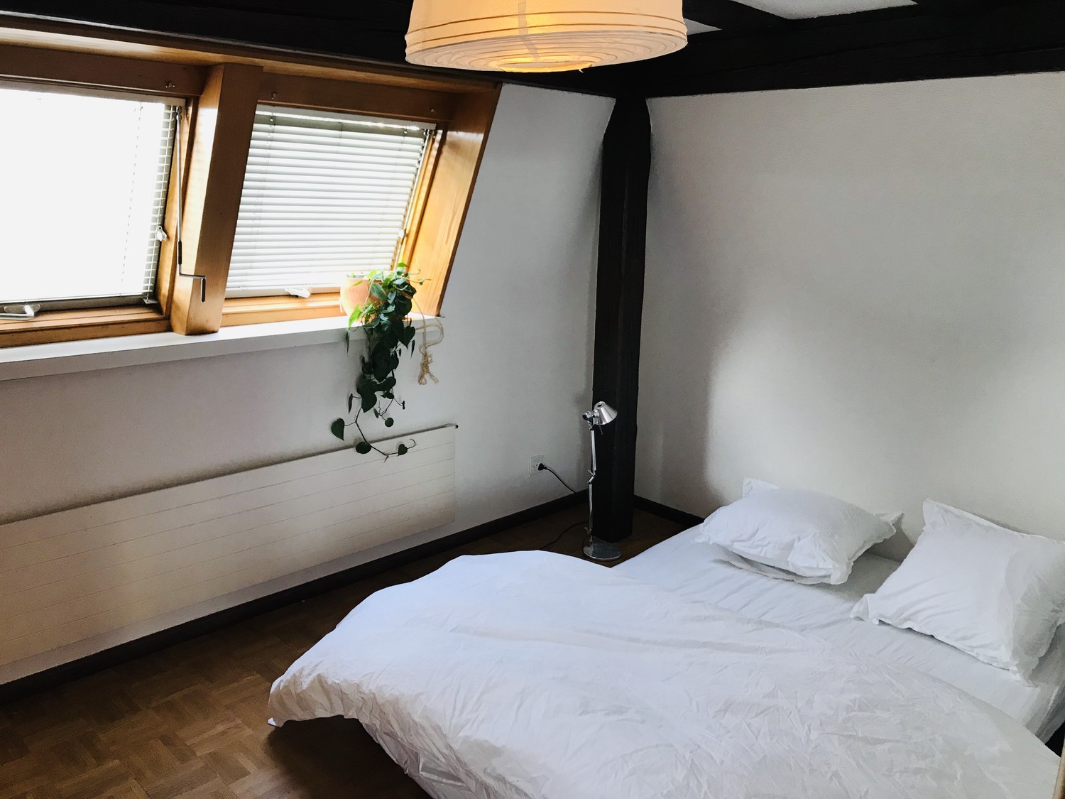 2 ½ Zimmer-Wohnung