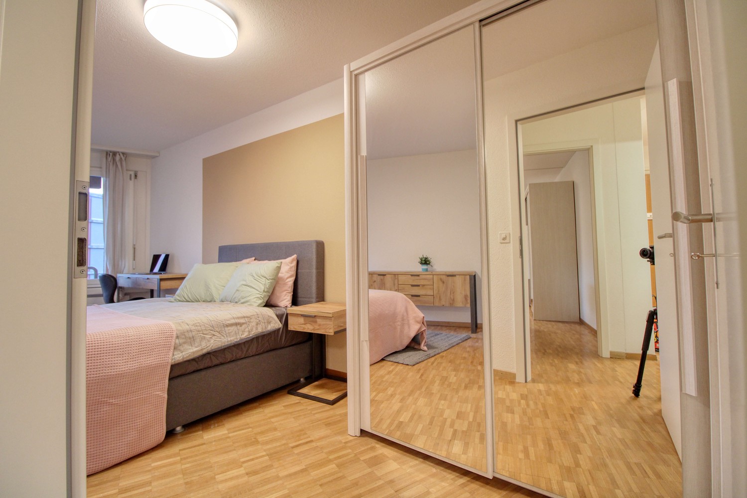 Room in a shared flat