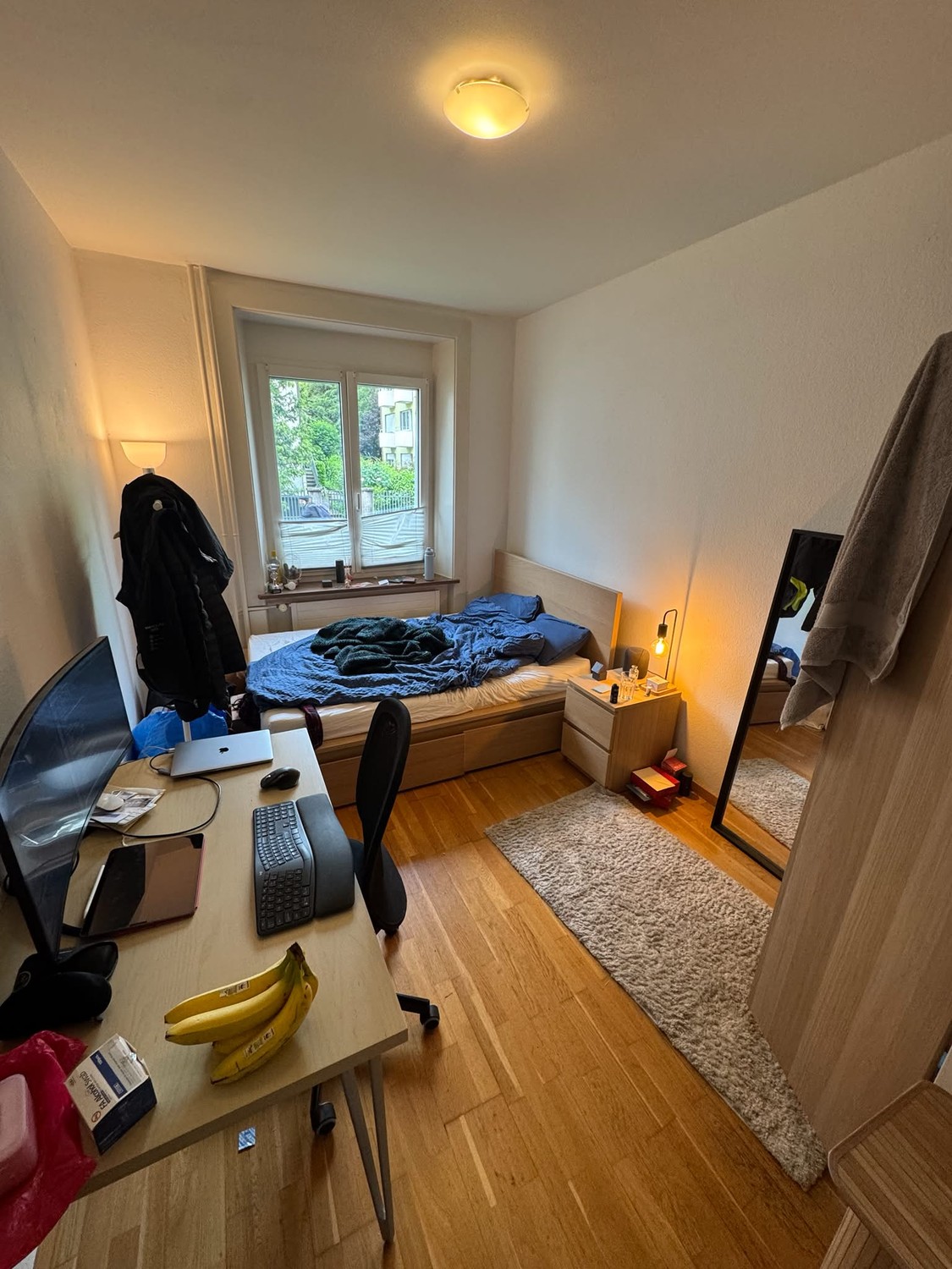 Room in a shared flat