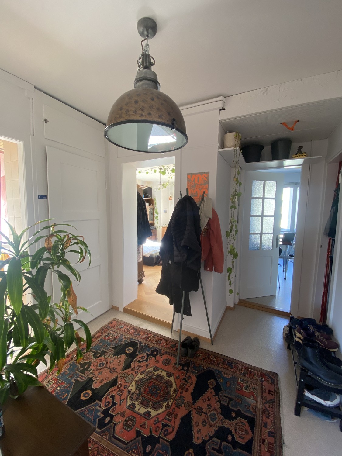 Room in a shared flat