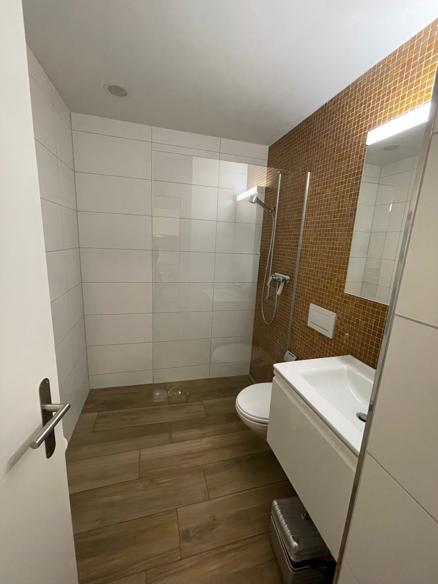 1 room attic flat